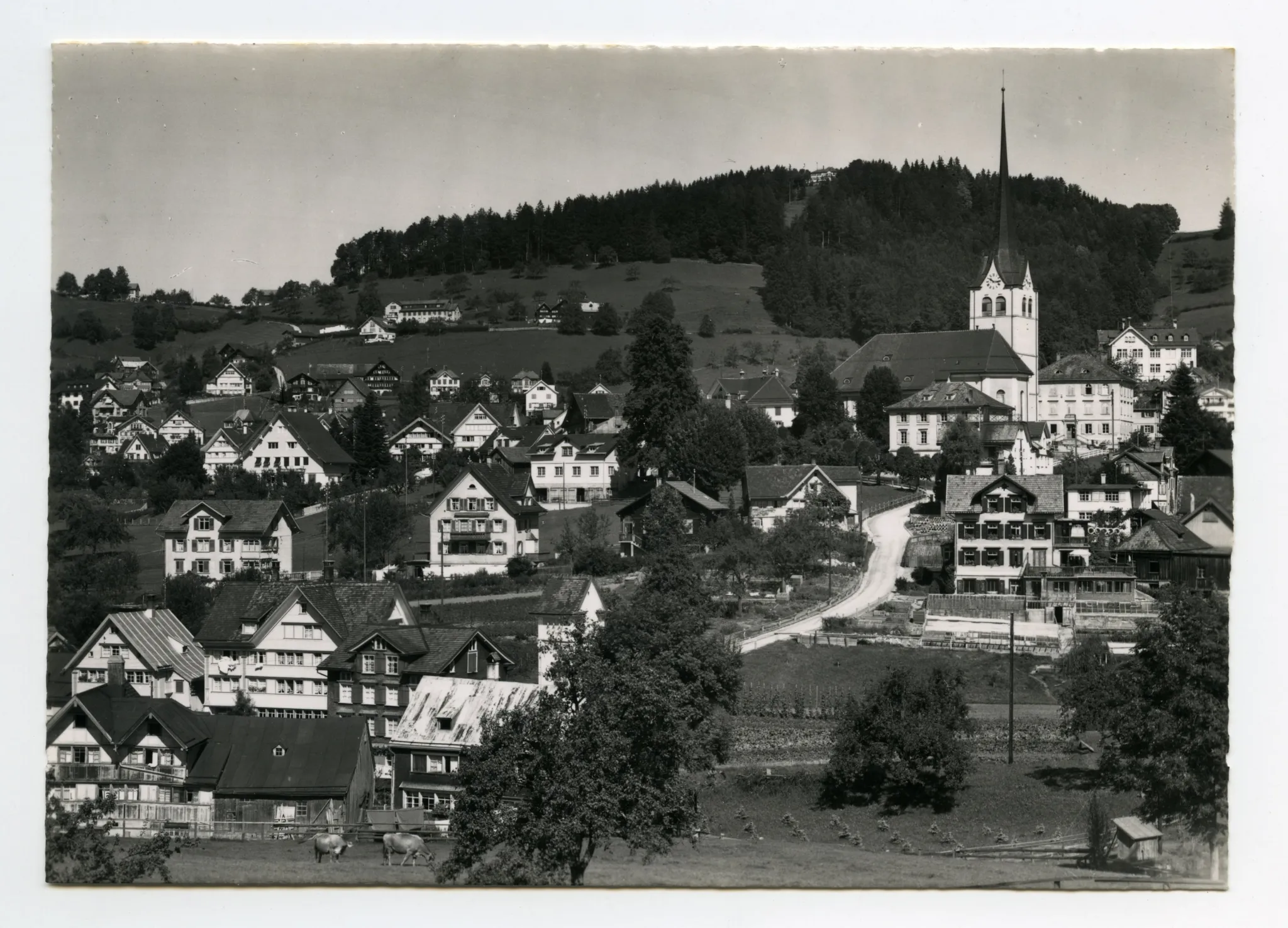 mit Bächli, Fernblick. Blick zur Frölichsegg, Frohen Aussicht