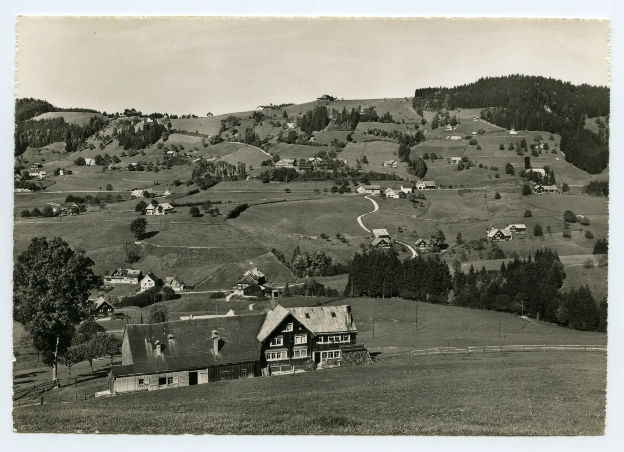 Wetti-„Pfauen“, Hummelhalden, Tobel. Blick zu den Eggen, zwischen Waldegg und Oberhorst