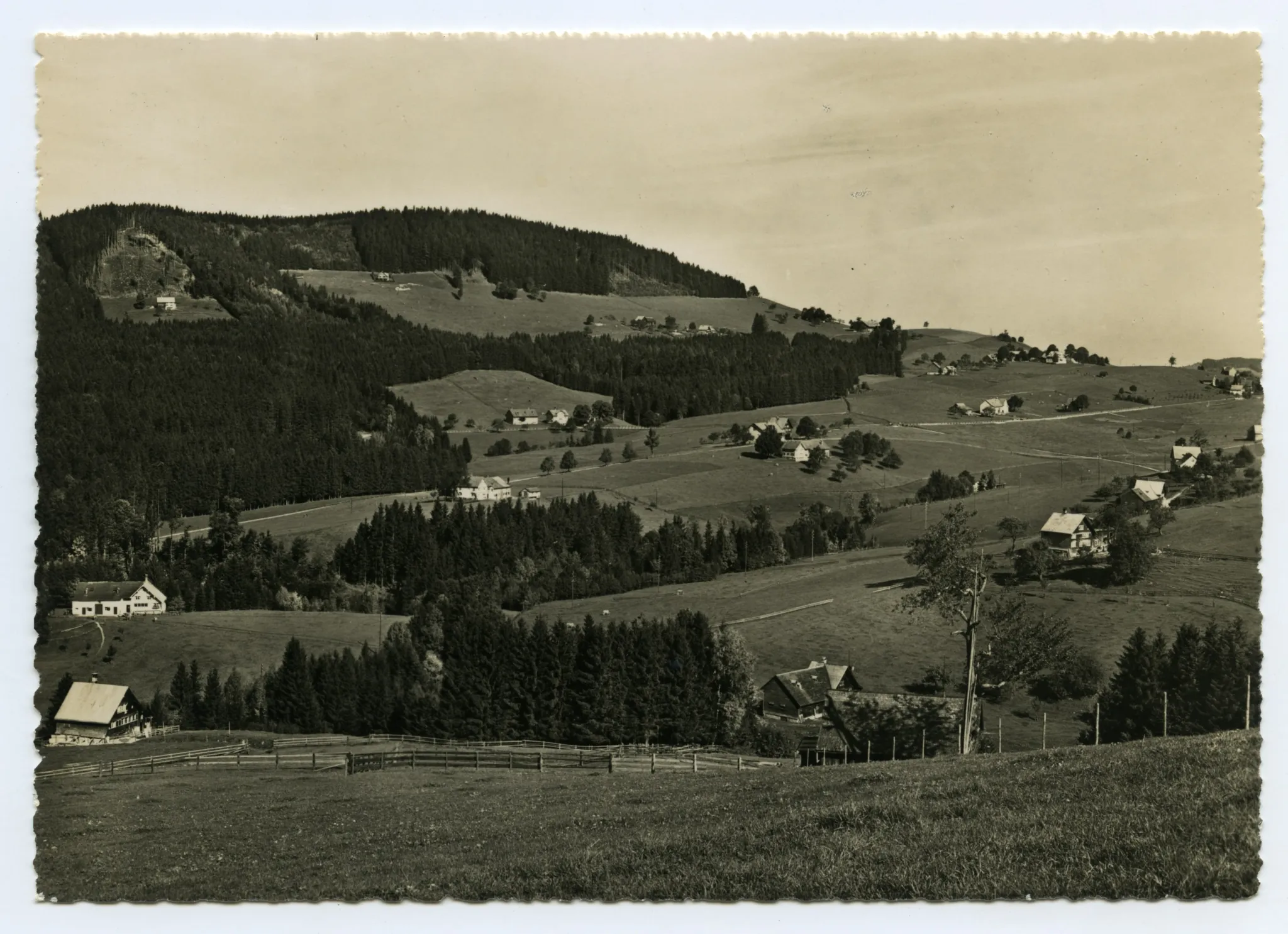 Blick zu den Eggen (Horst)