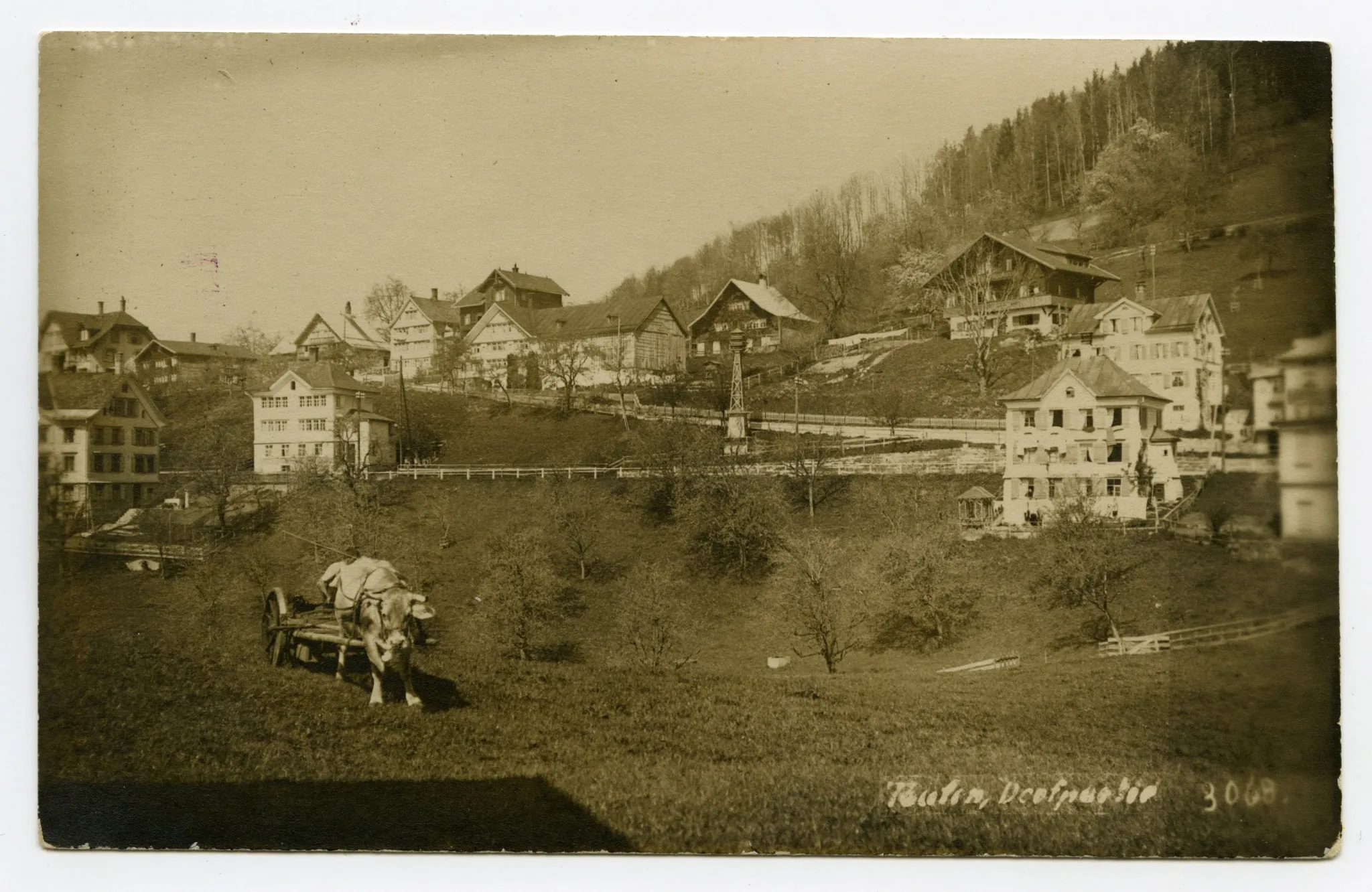 mit Elektromast und Kuh-Fuhrwerk auf Wiese beim Jaucheaustrag (vgl. Hc.21-02)