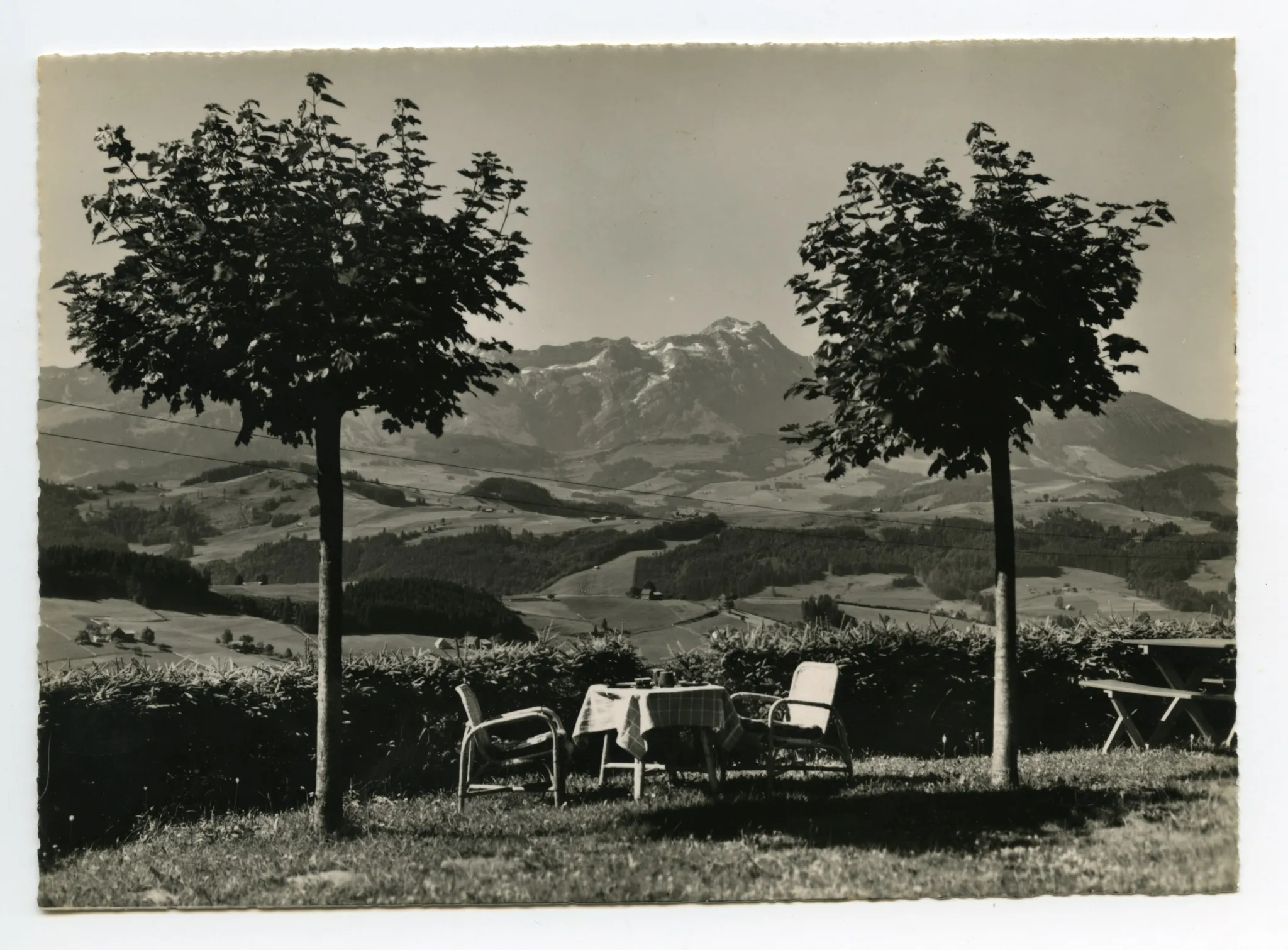 Blick zum Alpstein. Gartentisch und Säntis umrahmt von 2 jungen Laubbäumen