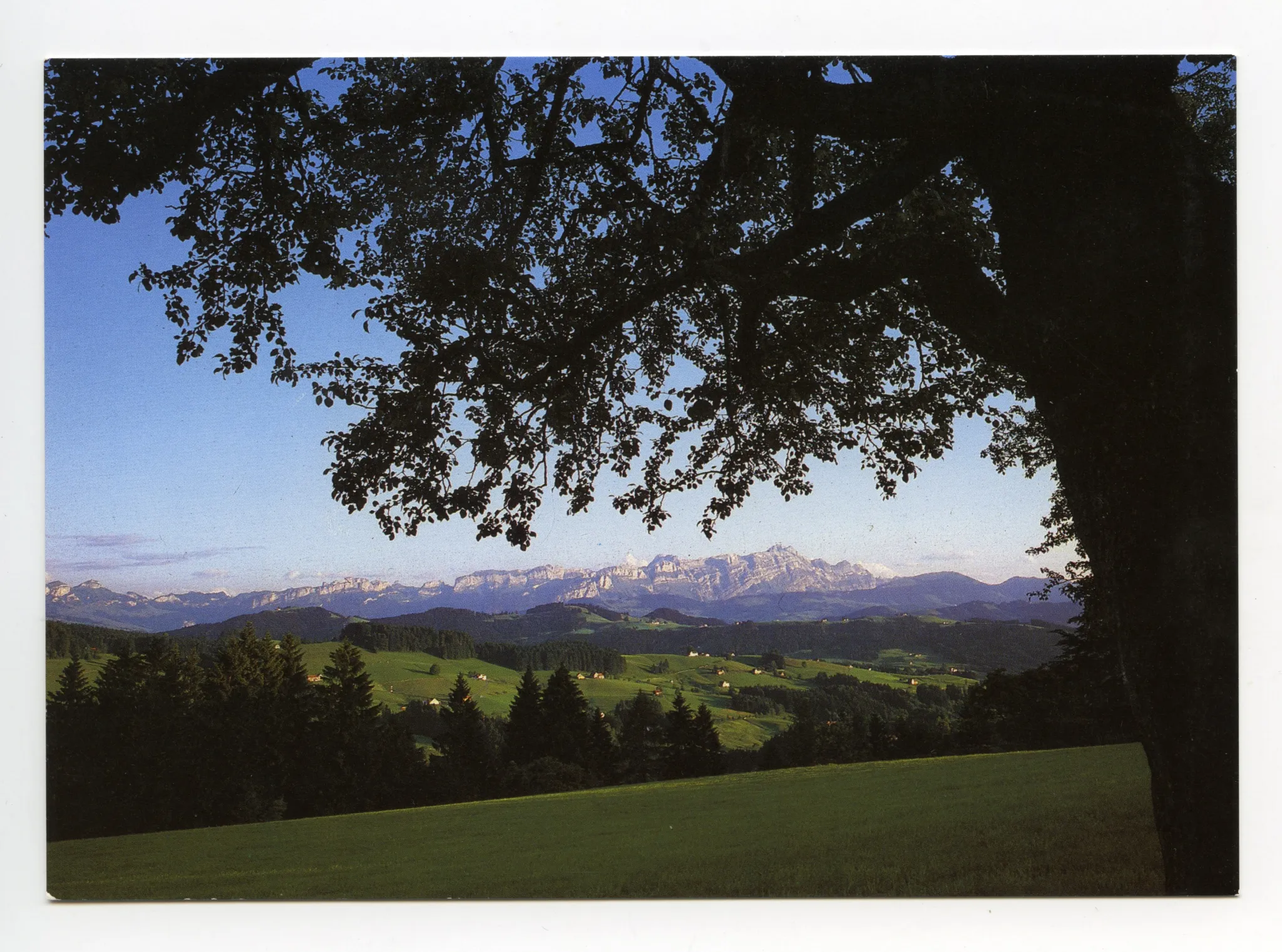 Blick von der Waldegg zum Alpstein