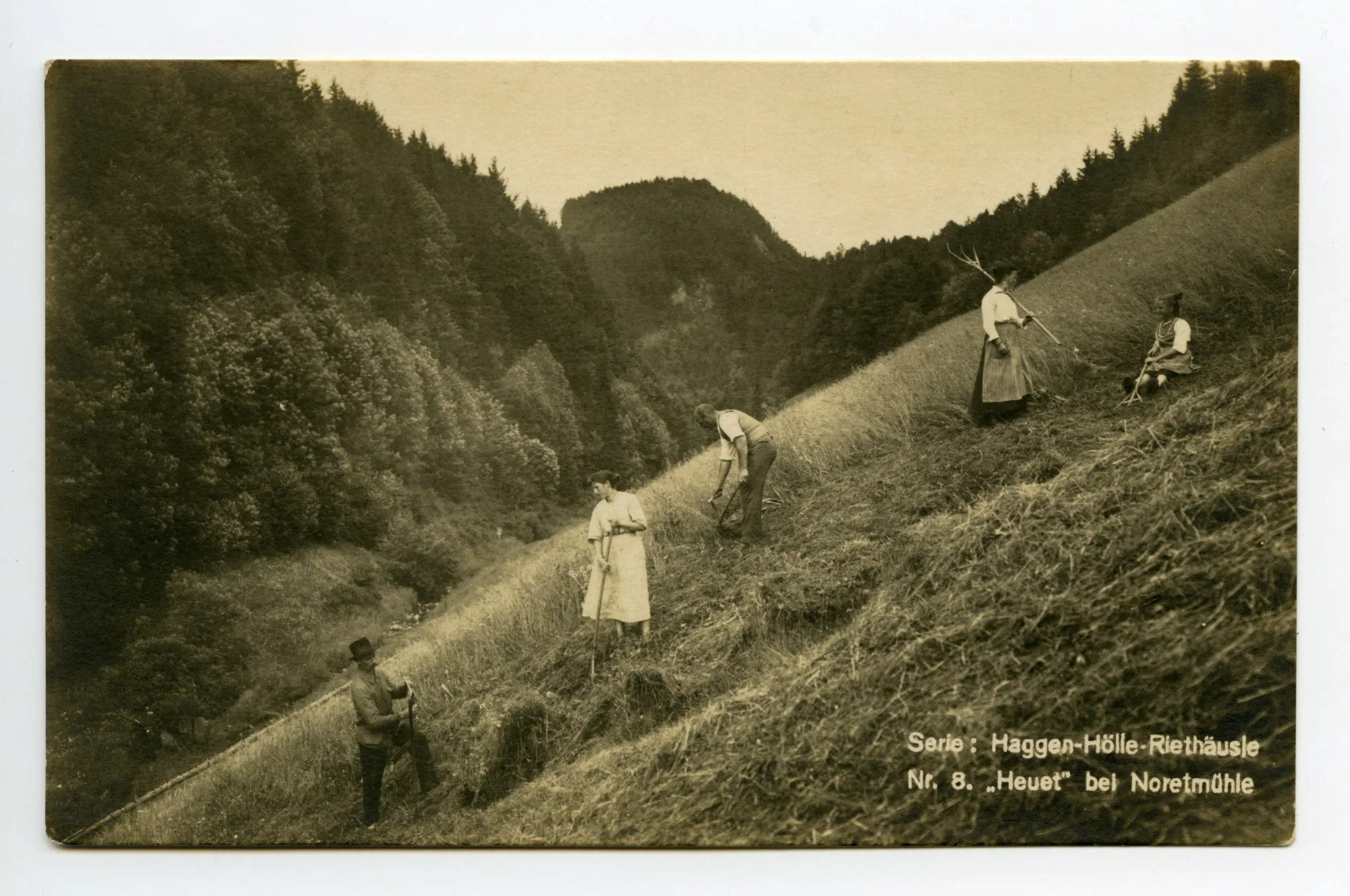 Ansicht von Personen bei der Heuernte