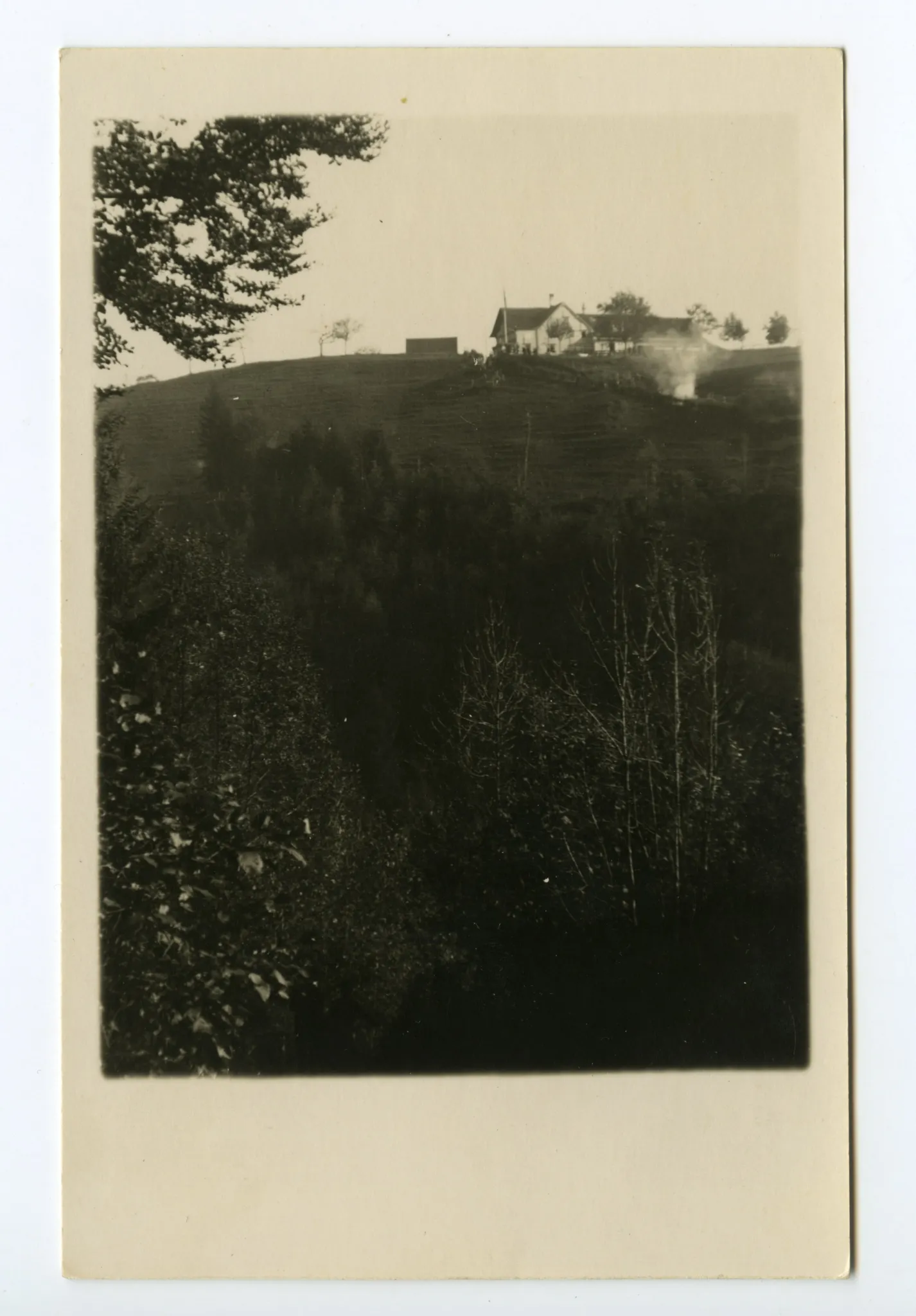 Ansicht von Norden mit Wiese und Wald im Vordergrund