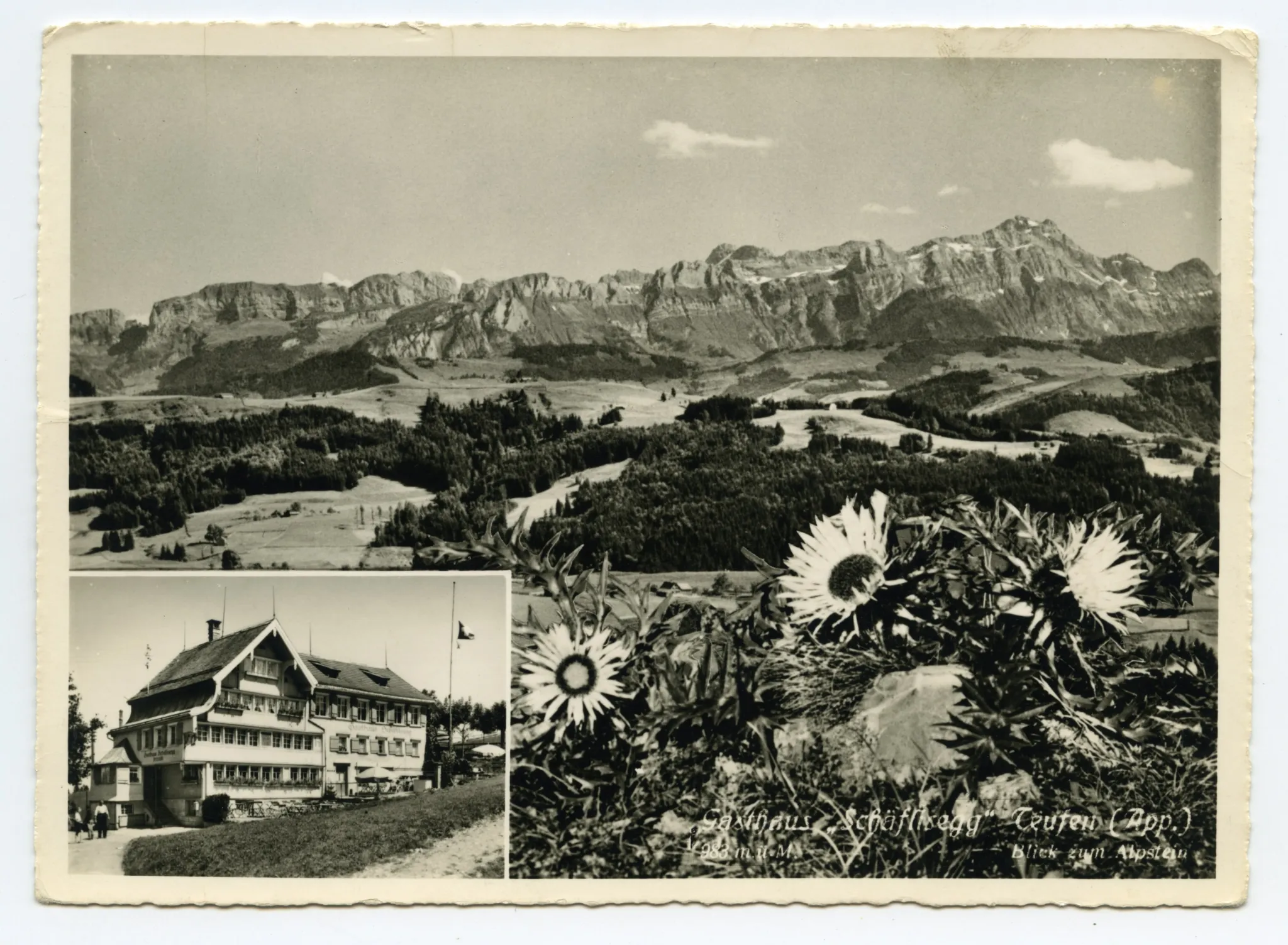 Doppelbildkarte, klein: Frontansicht aus Süden mit Sitzplatz (vgl. Ho.20-217), gross: Alpsteinpanorama