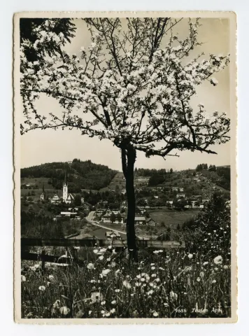Vordergrund: blühender Obstbaum, Sammelbüel. Mit beiden Dorfkirchen, Krankenhaus, Bad Sonder. Blick zu Frölichsegg, Schäflisegg (vgl. Hc.16-15)