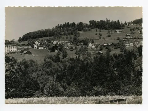 von ennet dem Bachtobel gesehen / Gebiet Bündt, Eggli, Schlipf. Blick zur Frohen Aussicht