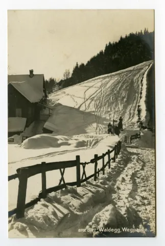 Weg Birt – Waldegg